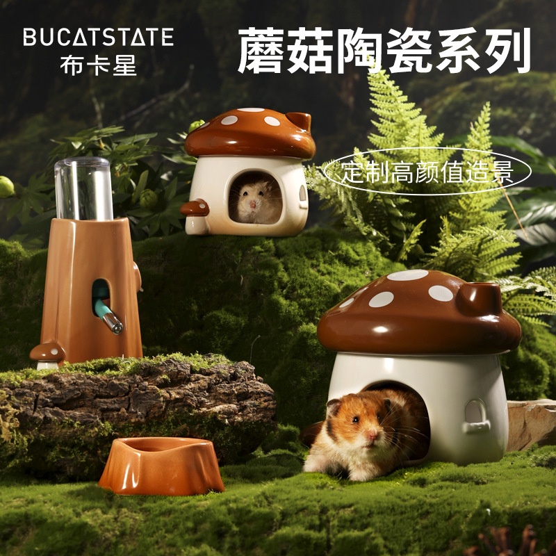 Tổ Bằng Gốm Cách Nhiệt Cho Chuột Hamster Vào Mùa Hè