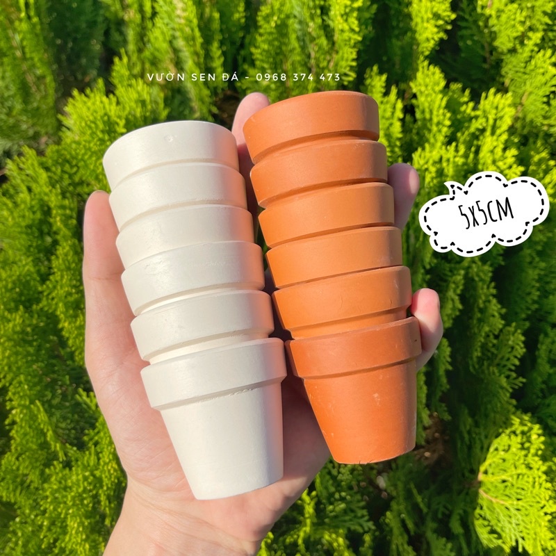 Chậu đất nung mini 5x5cm Trồng sen đá vỉ