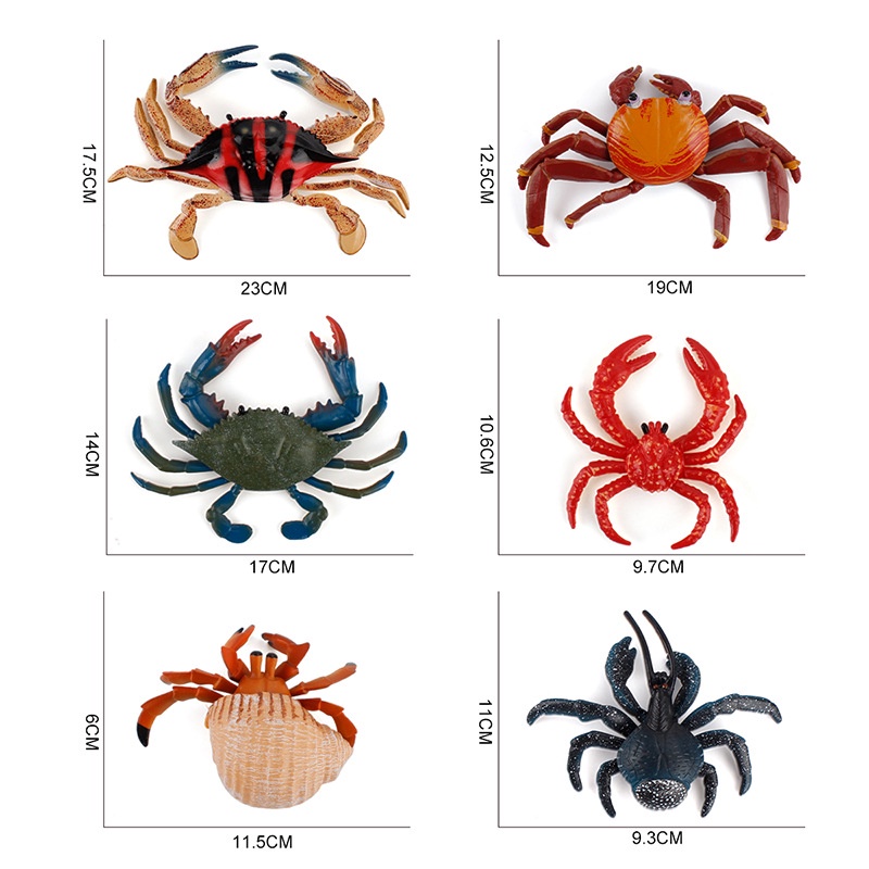 ♞Bán buôn tại nhà máy♞Mô hình cua sinh vật biển mô phỏng, cua hoàng đế ngộ nghĩnh, cua ẩn sĩ, cua dừa, đồ trang trí handmade nhiều loại, giáo cụ Montessori, đồ chơi nhà chơi trẻ em