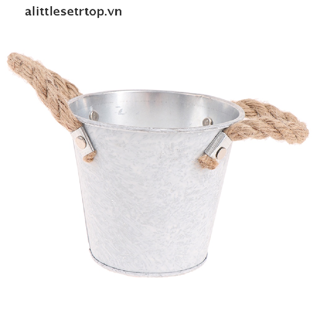 1 Chậu Hoa Trang Trí Bằng Kim Loại Có Tay Cầm