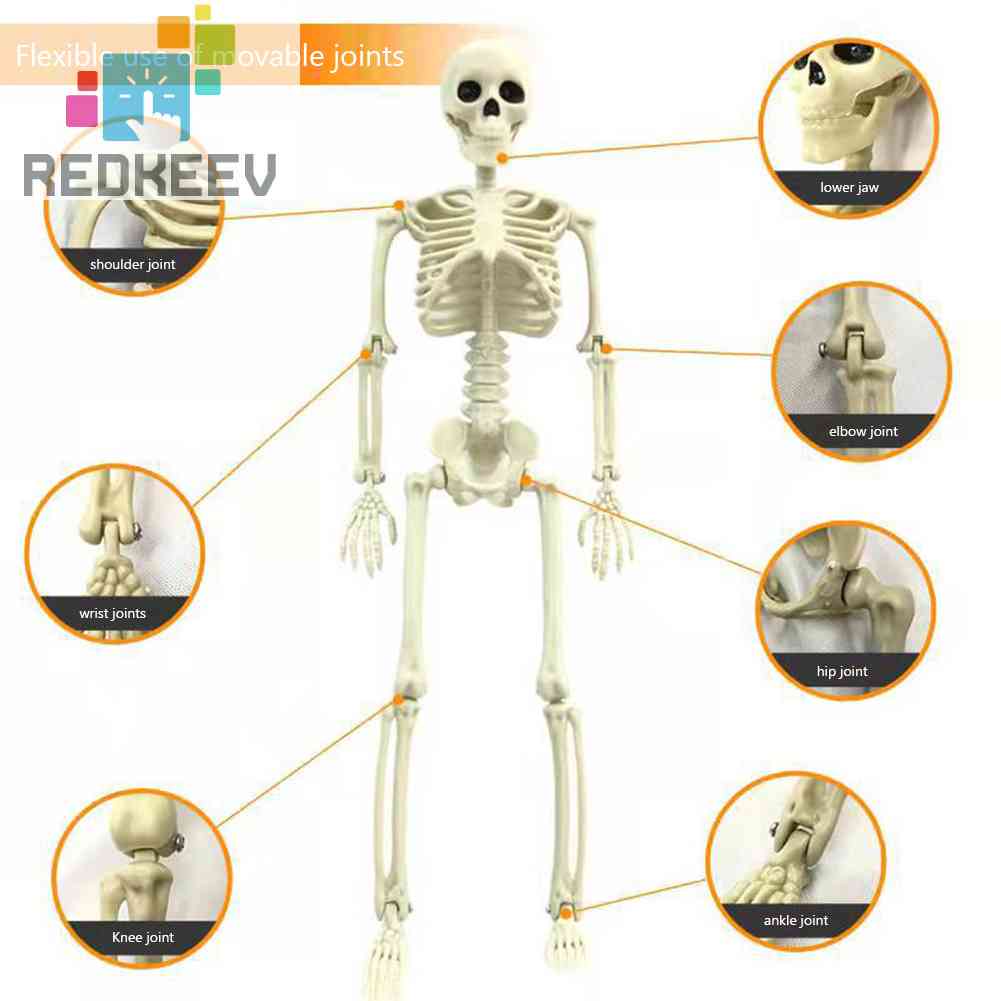 Bộ Xương Người Giả Trang Trí Halloween