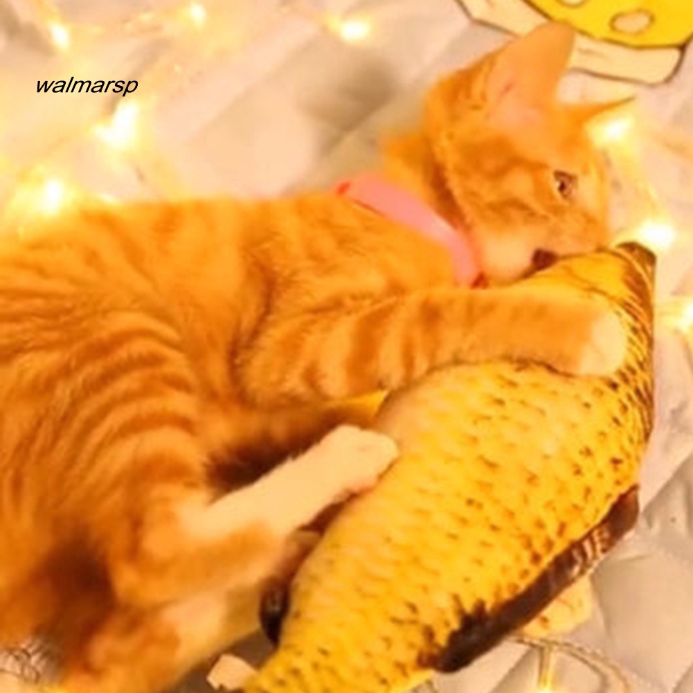 Đồ Chơi Hình Cá Cắn Chống Trầy Xước Cho Thú Cưng