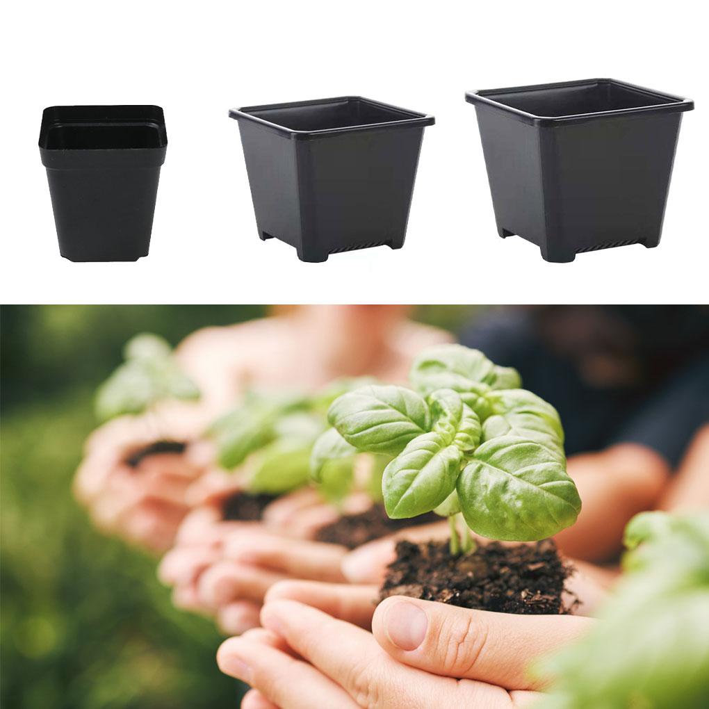 Chậu Trồng Cây Mọng Nước Dày Dặn Tái Sử Dụng Được
