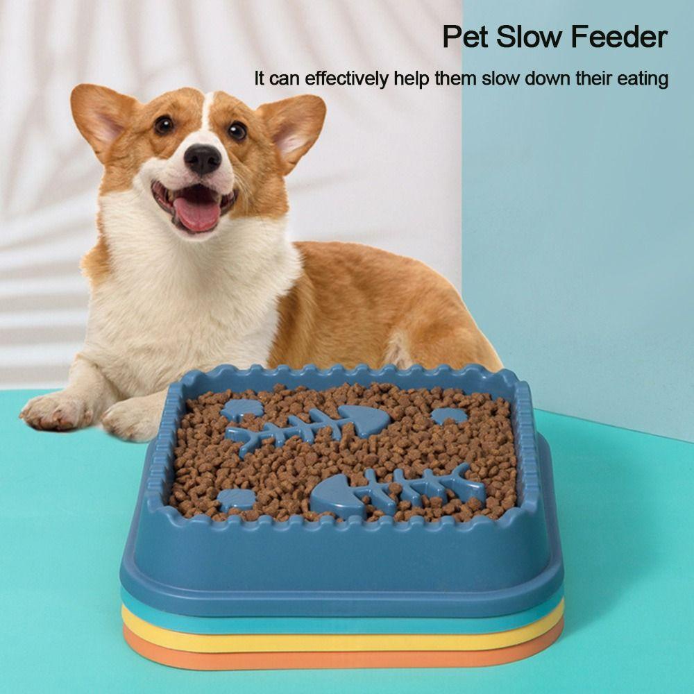 1 Dĩa Đựng Thức Ăn Chậm Chống Kẹt Tay Chống Trượt An Toàn Cho Thú Cưng