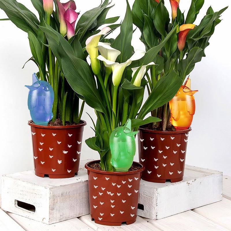 Bộ Dụng Cụ Tưới Cây Tự Động Hình Chú Chim Dễ Thương Cho Sân Vườn YK JP5