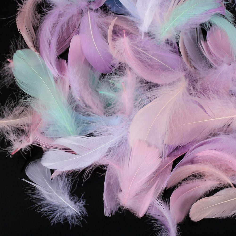 Bộ 100 cái lông vũ nhiều màu dùng cho trang trí DIY