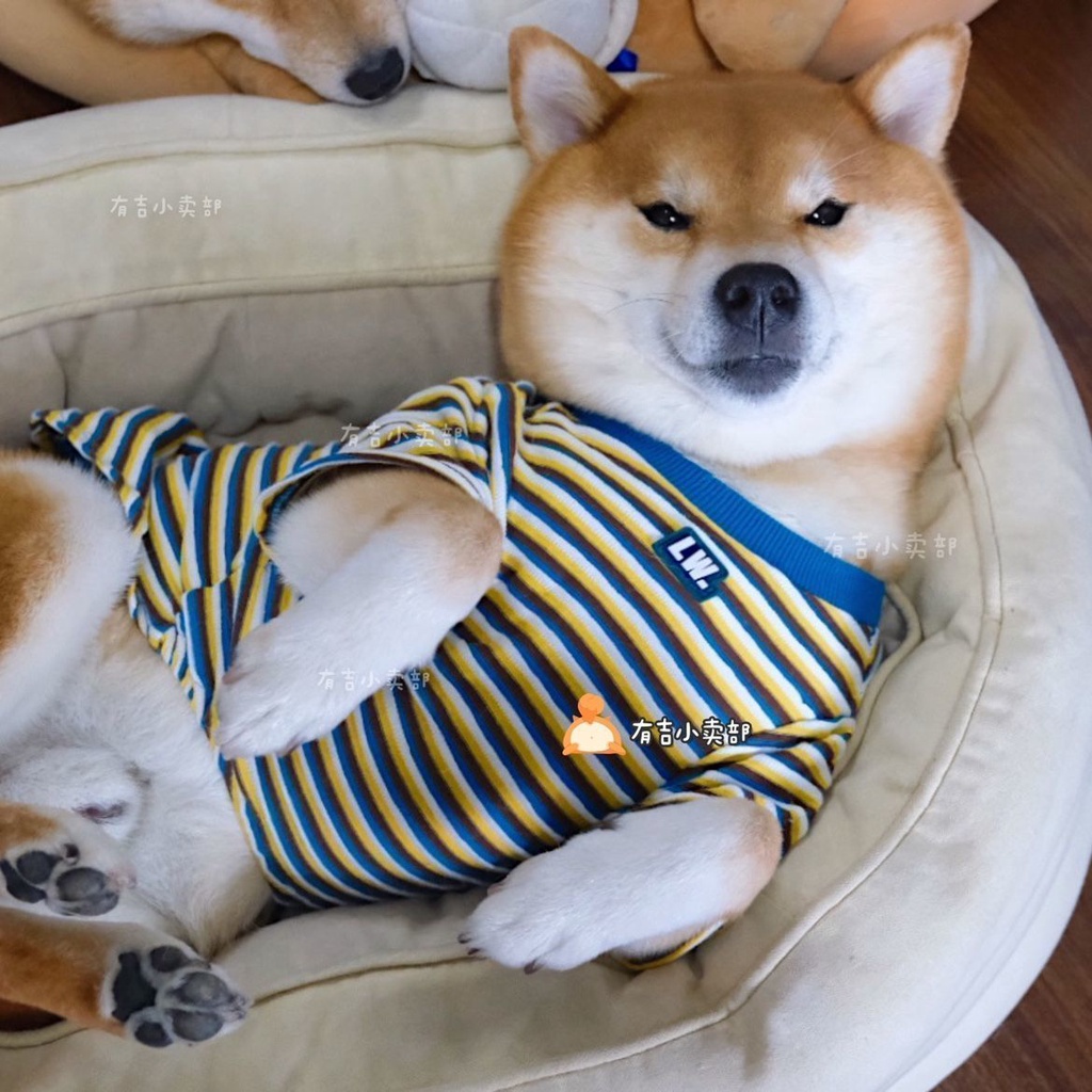 Áo Thun Tay Ngắn Họa Tiết Sọc Ngang Mùa Thu Kích Thước Vừa Và Nhỏ Cho Thú Cưng Chó Mèo Phong Cách Mới