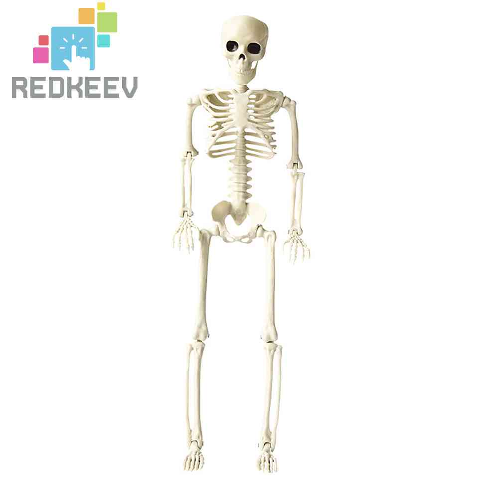 Bộ Xương Người Giả Trang Trí Halloween