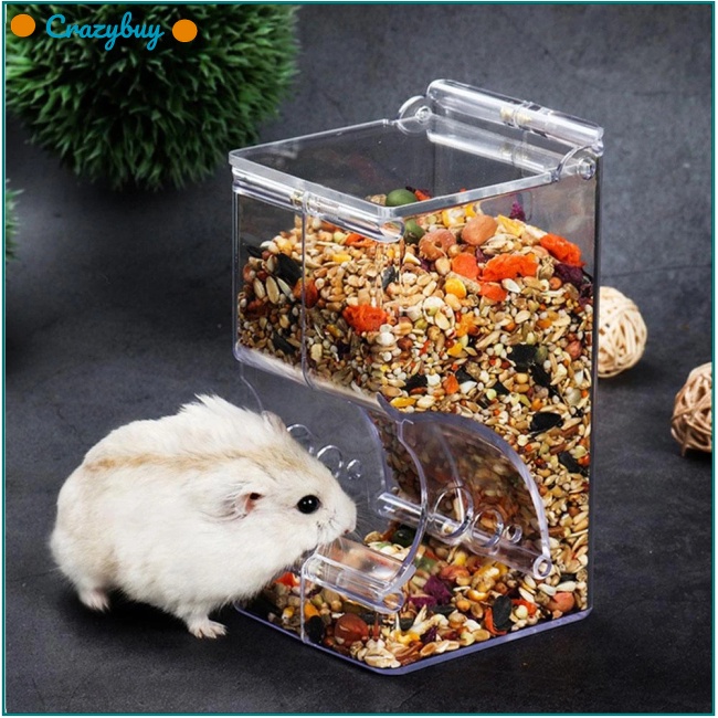 Cr Hộp Đựng Thức Ăn Tự Động Bằng Acrylic Trong Suốt Chống Ăn Mòn Cho Chuột Hamster / Sóc