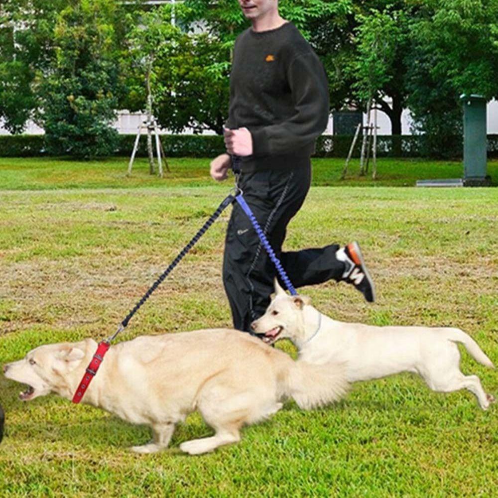 Dây Dắt Thú Cưng Đi Dạo 2 Chiều Kiểm Soát Mạnh Mẽ