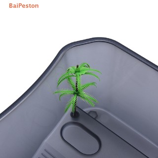 Hộp Nuôi Rùa / Bò Sát Có Bệ Đỡ Đứng
