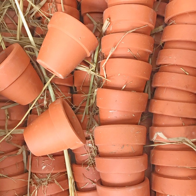 Chậu đất nung mini 5x5cm Trồng sen đá vỉ