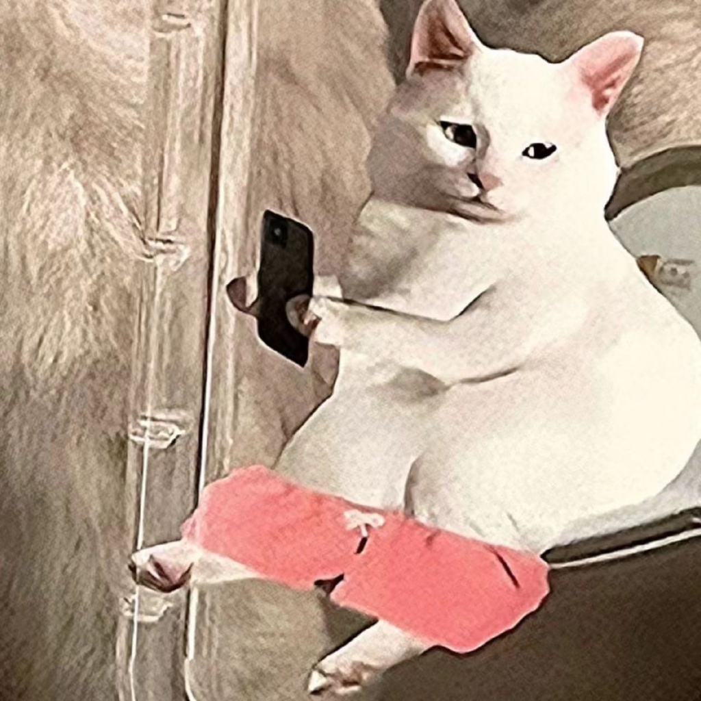 ✅Ốp ĐiệN ThoạI HọA TiếT Toilet Cho iPhone 14 / 13 Pro Max 12 / 11 xr / xs 7 / 8 Plus 4NYW