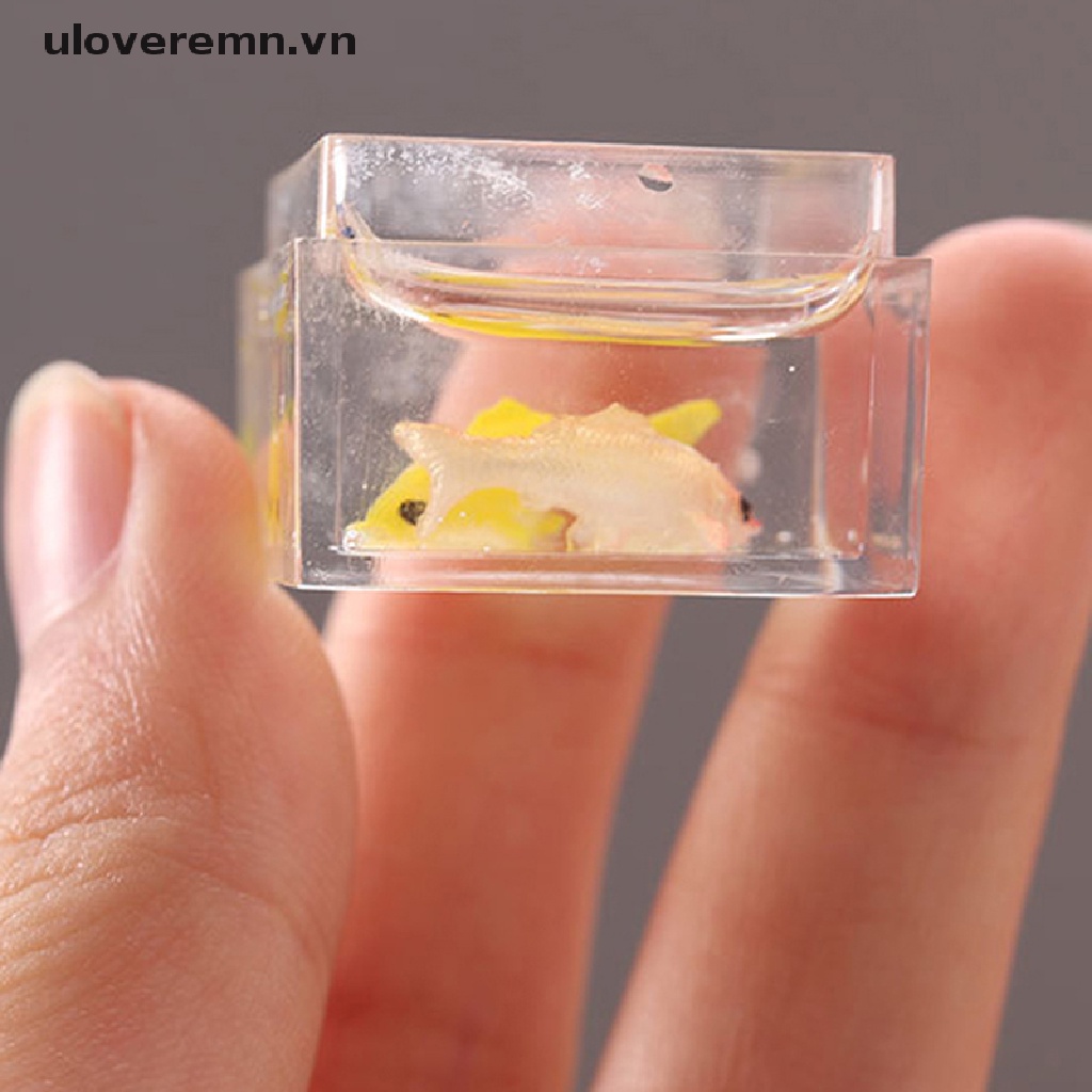 Mô Hình Cá Vàng Nhỏ Xinh Trang Trí Nhà Búp Bê DIY