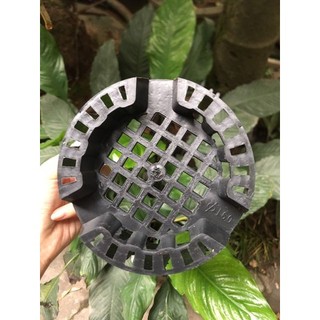 Chậu nhựa trồng lan phi 16 [Giá sỉ]