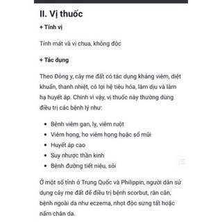 me chua hoa đất trồng chậu mini 4 củ