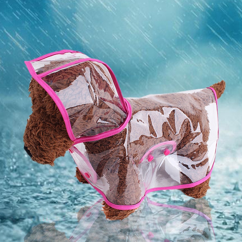 Áo Mưa Trong Suốt Có Mũ Trùm Tiện Dụng Dành Cho Cún Cưng