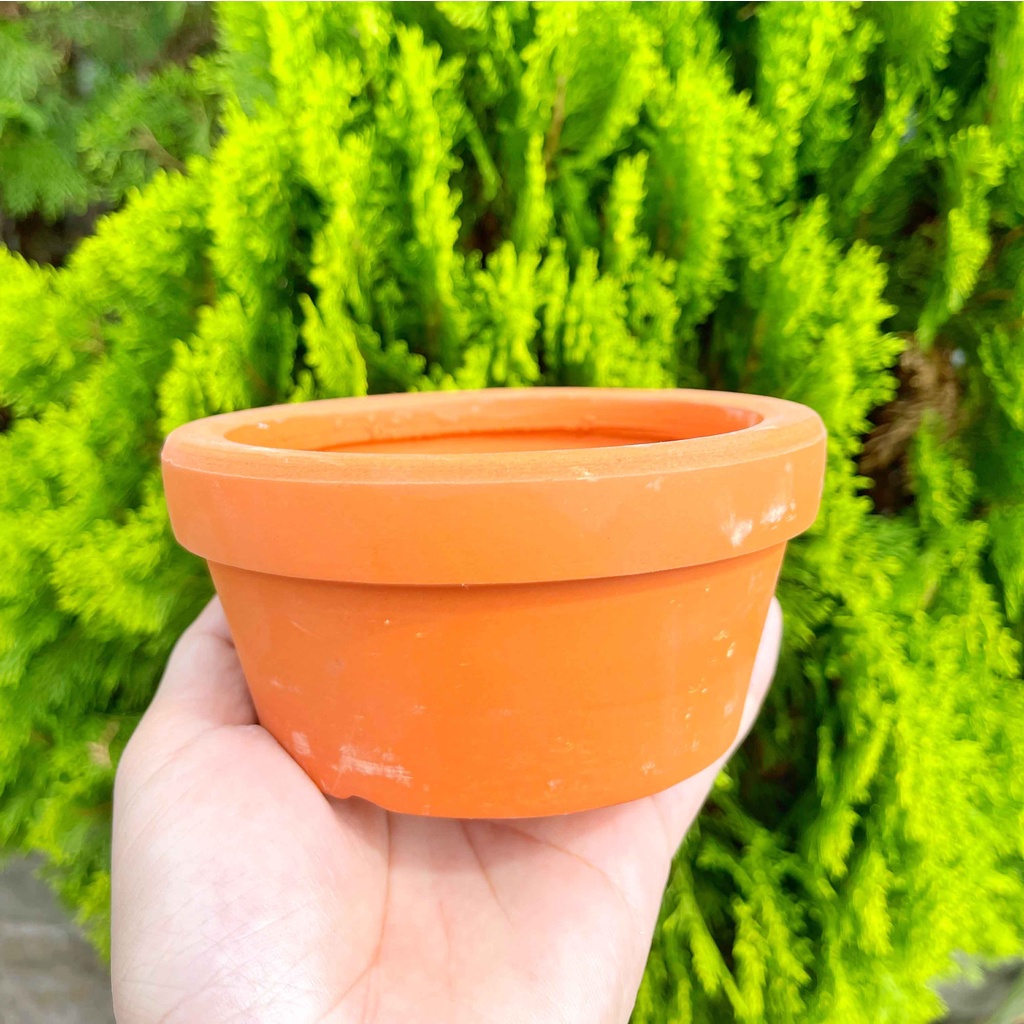 Chậu đất nung 12x6cm - Chậu trồng sen đá