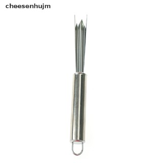 Dụng Cụ Gọt Dứa Bằng Thép Không Gỉ