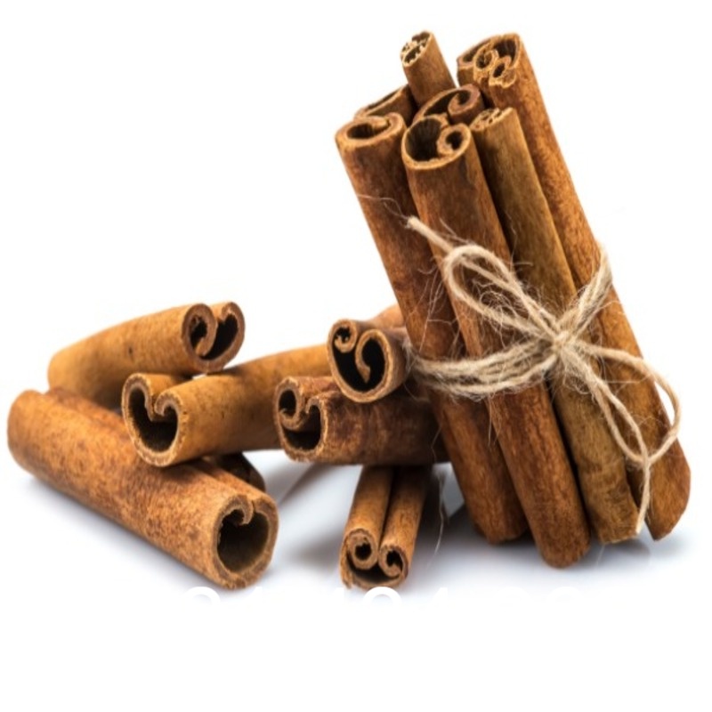 02 Cay Quế Giống (Quế Cay) Cao 40cm