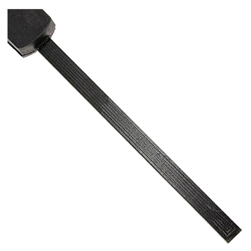 1 Ăng Ten Điện Tử Và 2 Bóng Đèn Led Biển Số Xe Hơi C5W C10W 31mm 3014 18SMD