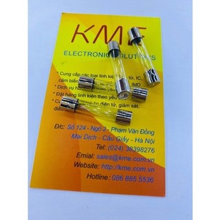Cầu chì thủy tinh 2a 250v 6x30mm