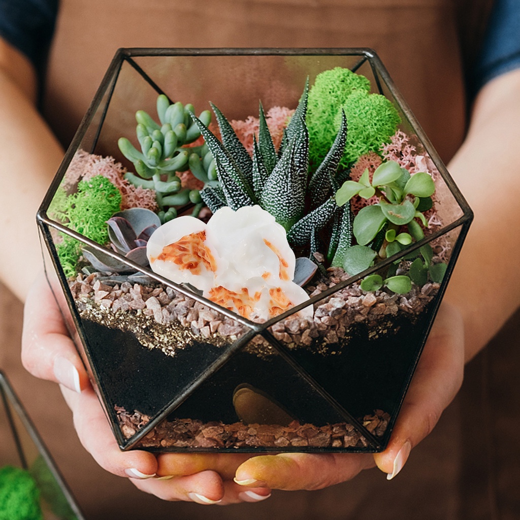 Bộ 20 Hộp Bắp Rang Nhân Tạo Dùng Để Làm Bông Tai