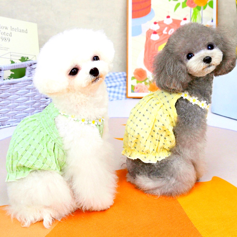 {27Pets} Đầm Mùa Hè Màu Xanh Lá Và Vàng Với Thiết Kế Lồng Đèn Cho Thú Cưng