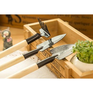 Bộ dụng cụ làm vườn mini, 3 món, cán gỗ