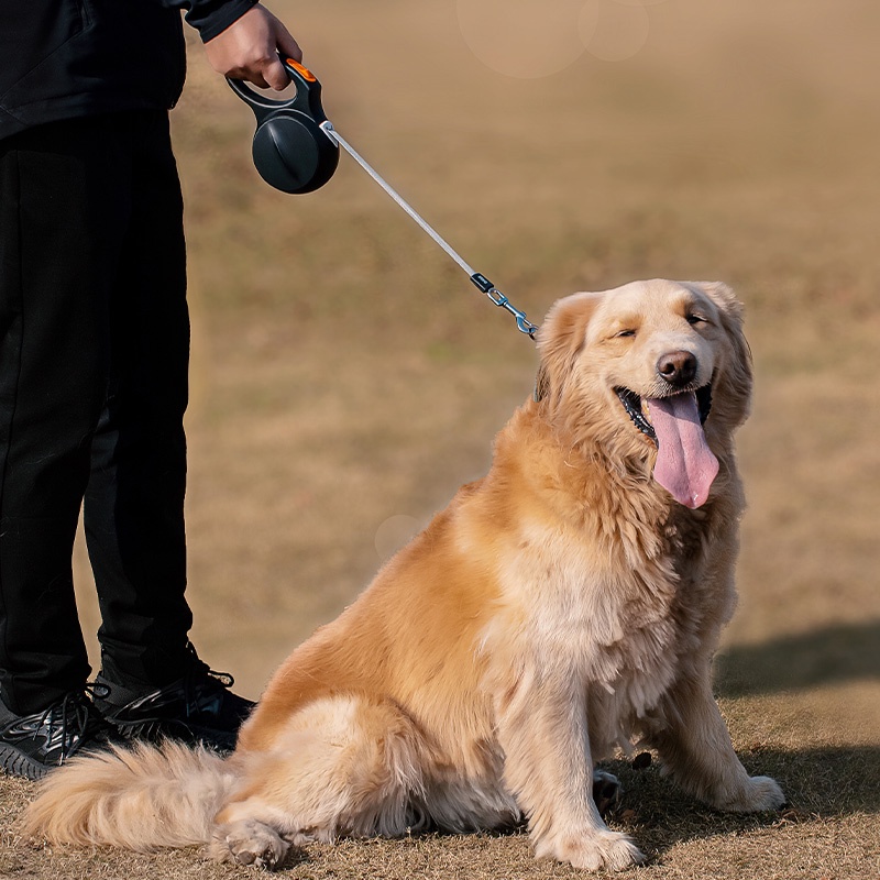 HamshMoc Dây Dắt Chó Đi Dạo Có Tay Cầm Chống Trượt Tiện Dụng
