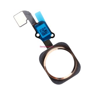 Cáp Flex Nút Home Cho iPhone 6S 6S Plus (No Touch ID)