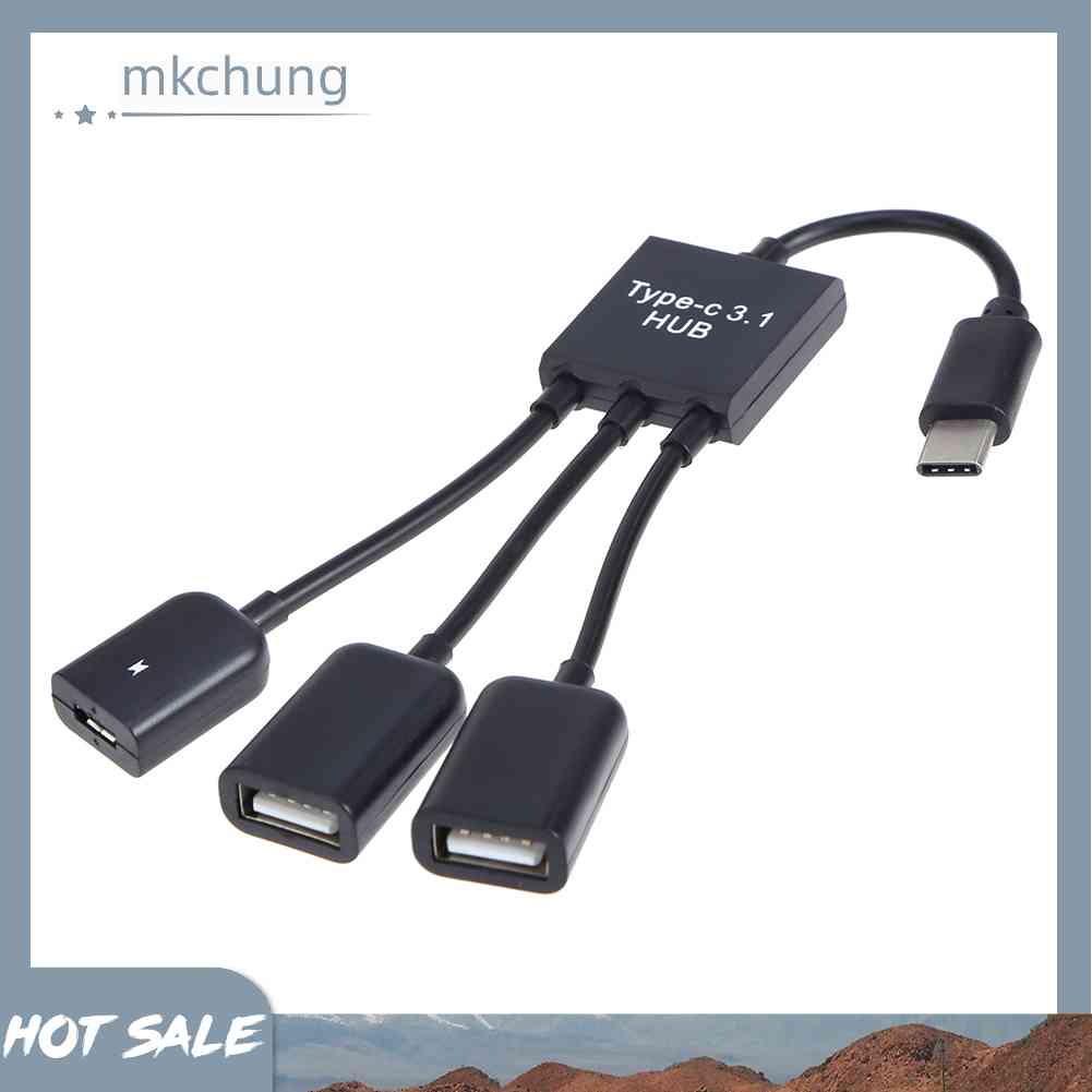 Bộ 2 Dây Cáp OTG Nối Dài Chuyển Đổi Cổng USB-A / F + Micro USB Sang Cổng USB 3.1 Type-C