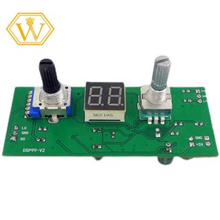 DSP Digital Reverberation Karaoke Reverb Board KTV Mixer Effector Anti-Whistling Module Multi-Sound Effects