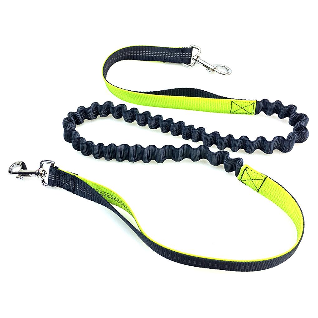 Dây Dắt Thú Cưng Đi Dạo Co Dãn Chống Mài Mòn Tùy Chỉnh Kèm Dây Đai Phản Quang Tiện Dụng