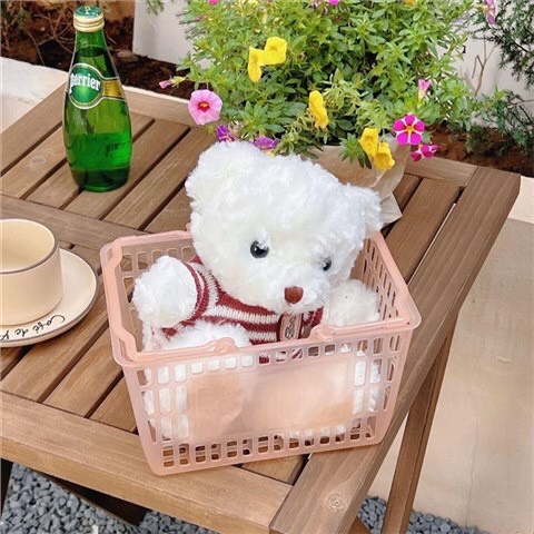 Giỏ nhựa trong đựng đồ rổ đựng đồ có quai cầm làn xách siêu thị mini đựng đồ dùng cá nhân văn phòng phẩm mỹ phẩm