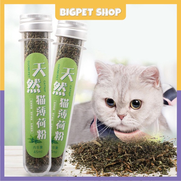 Cỏ bạc hà cho mèo phê pha xả streess