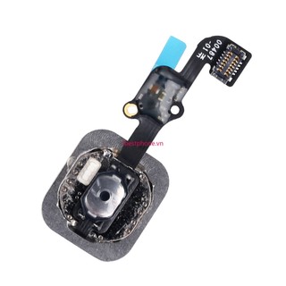 Cáp Flex Nút Home Cho iPhone 6S 6S Plus (No Touch ID)
