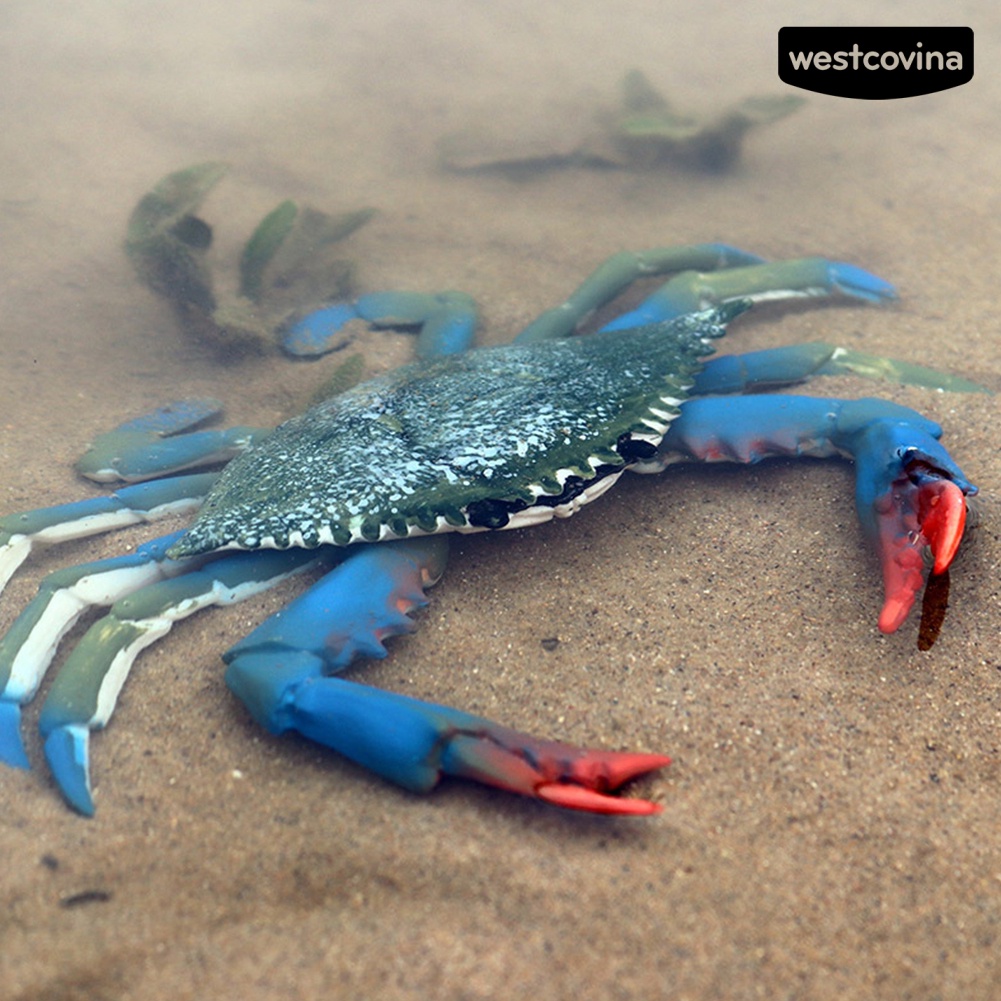 [COD]♋Mô Hình Đồ Chơi Chú Cua Biển Bằng PVC Để Bàn Trang Trí