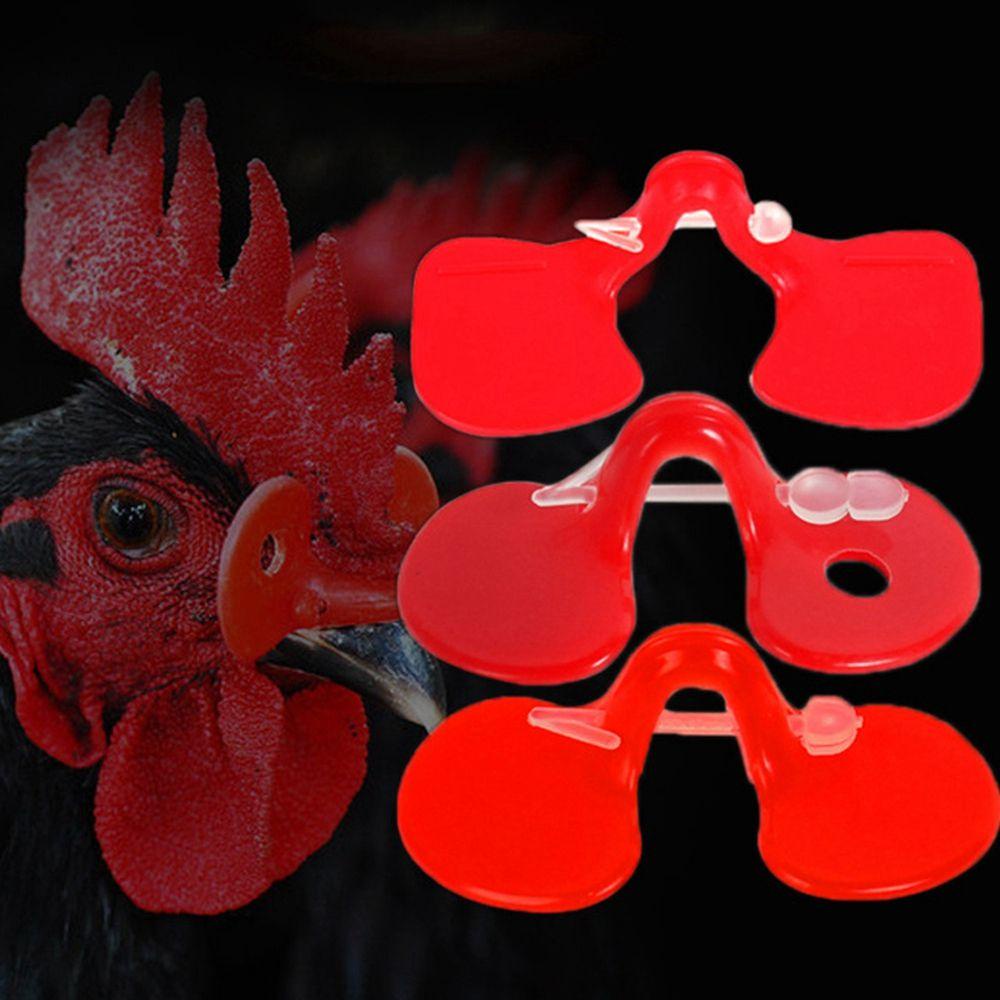 50 Kính Nhựa Không Bị Nghẹt Chuyên Dụng Cho Gà