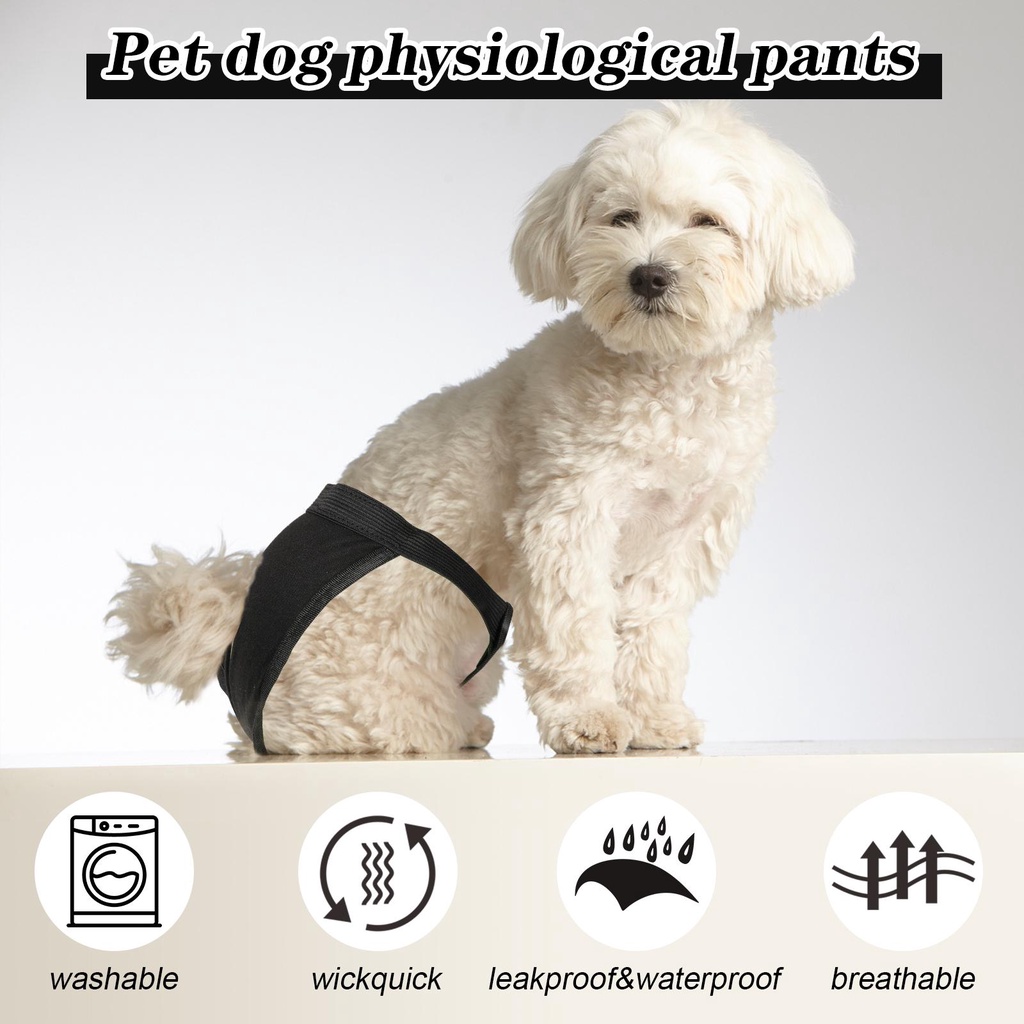 Tã Quần Bảo Vệ An Toàn Thoáng Khí Có Thể Giặt Sạch Dành Cho Cún Cưng