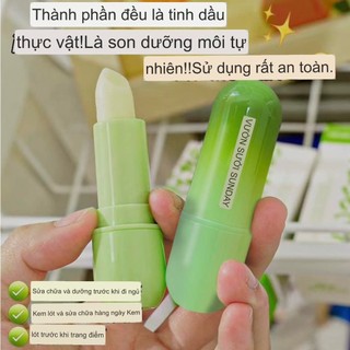 Son dưỡng môi Sunday (cây)