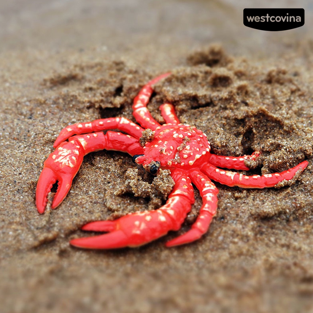 [COD]♋Mô Hình Đồ Chơi Chú Cua Biển Bằng PVC Để Bàn Trang Trí