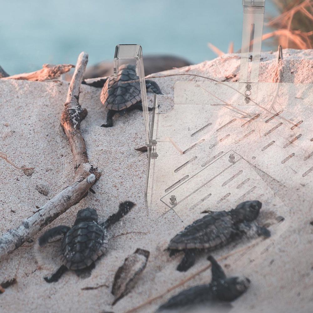 Đế Hút 2023 AARON1 Có Thể Tháo Rời Siêu Bền Thiết Kế Móc Treo Tiện Dụng Cho Hồ Nuôi Rùa