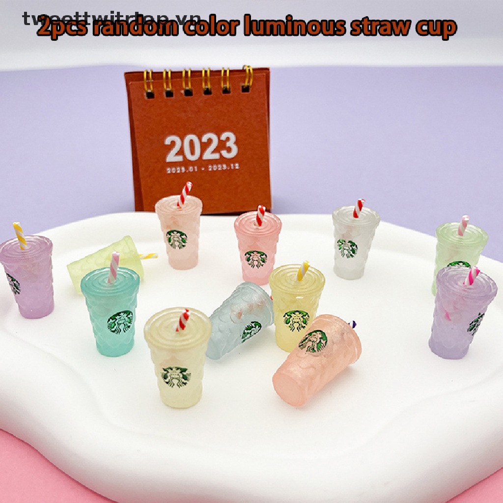 Set 2 Ly Nước Dạ Quang Mini Bằng Nhựa Resin Trang Trí Tiểu Cảnh