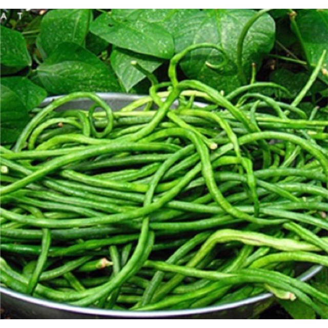 Hạt Giống Đậu Đũa - Gói 20Gr (hạt giống eakamart)