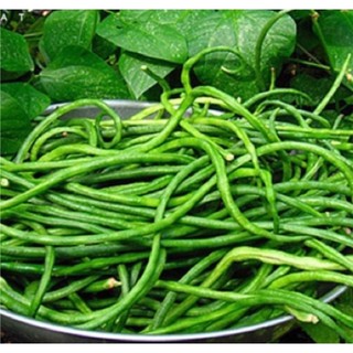 Hạt giống đậu đũa - gói 20gr