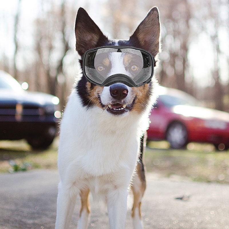 HamshMoc UV Protection Dog Goggles Windproof Pet Sunglasses Eye Wear Protection Sunproof Rainproof with Adjustable Strap for Medium Large Dog