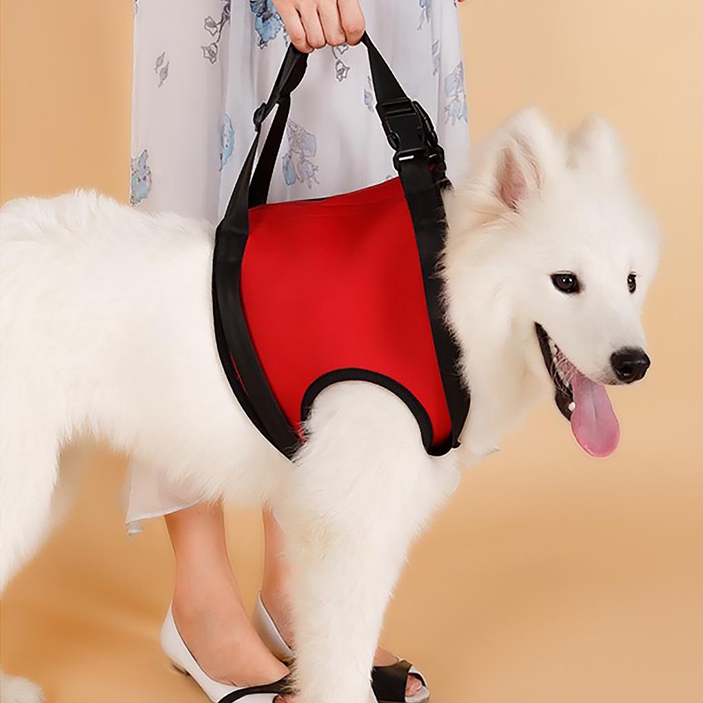 Dây Đeo Chân Dắt Thú Cưng Đi Dạo Có Thể Tái Sử Dụng
