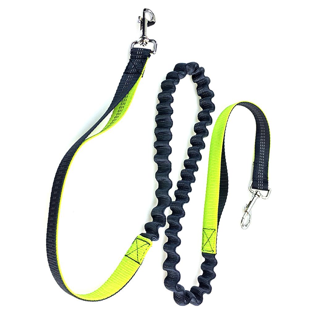 Dây Dắt Thú Cưng Đi Dạo Co Dãn Chống Mài Mòn Tùy Chỉnh Kèm Dây Đai Phản Quang Tiện Dụng