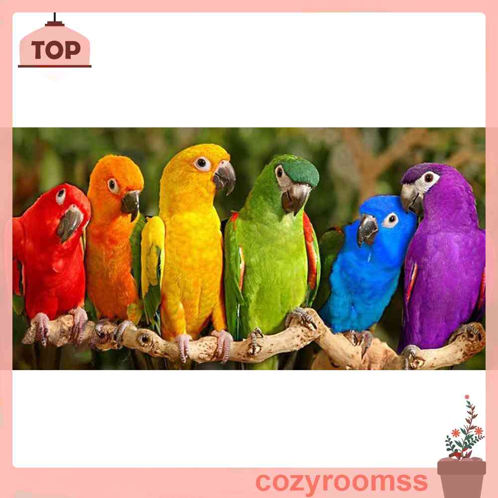 Toàn Bộ Bộ Tranh Thêu Chữ Thập 11CT DIY Hình Vẹt Nhiều Màu Sắc